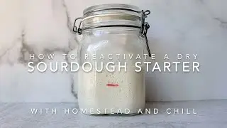 How to Reactivate a Dry (Dehydrated) Sourdough Starter