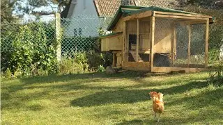 Easy Pallet Wood Chicken Coop Hen House. Gallinero de fácil construcción   Poulailler brico Week-end