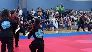 Taekwondo demo team