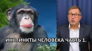 ИНСТИНКТЫ ЧЕЛОВЕКА. 1 часть