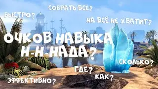 Очки навыка в TESO | Где и как получать?