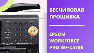 Бесчиповая прошивка Epson WorkForce Pro WF-C5790 | Видеоинструкция