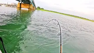 Kayak Fishing New Waters for an UNEXPECTED Bite!!! Bycatch Slam!