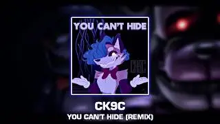 CK9C - You Can't Hide | 48 Remix