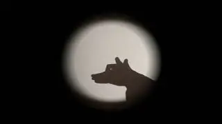 The History of Hand Shadows