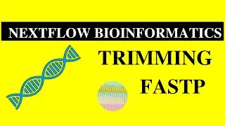 Bioinformatricks  - Nextflow for Bioinformatics -Trimming with fastp