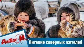 Питание северных жителей, атопический дерматит. "Доктор И"