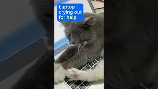 Laptop crying out for help!