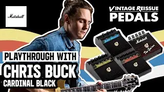 Chris Buck of Cardinal Black plays the Vintage Reissue Pedals | Marshall