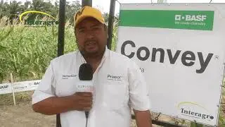 INTERAGRO Y BASF  PRESENTAN A CONVEY EN LA PROPIEDAD ESTELITA 3