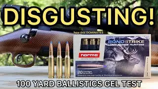 308 Winchester Norma Bondstrike Ballistics Gel Ammo Test