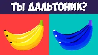 А Ты Не Дальтоник? ПРОВЕРЬ СВОИ ГЛАЗА | БУДЬ В КУРСЕ TV