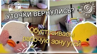 ОБУСТРАИВАЕМ РАБОЧИЙ СТОЛ У УТОЧКИ🦆Милка и Роза/Таня ди ай вай