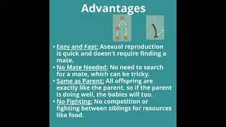 Quick overview of the advantages and disadvantages of asexual reproduction