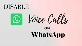 How To Disable  Voice Calls on WhatsApp