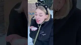 Tik-Tok: Мысли собаки 🐶