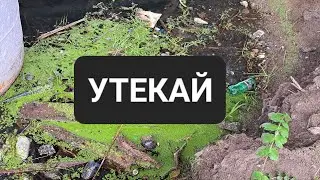 УТЕКАЙ