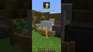 goofy ahh sheep in minecraft 🐑💀