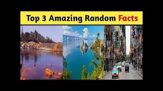 Top amazing random facts || Amazing 😇 facts || interesting facts #shorts #MrFactbrain