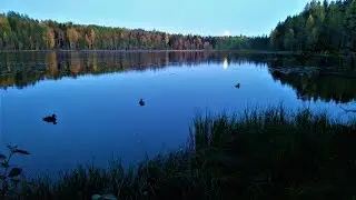 Охота, рыбалка и быт на озере Рыбное. Часть 2. Hunting, fishing and life on the lake Rybnoe. Part 2.