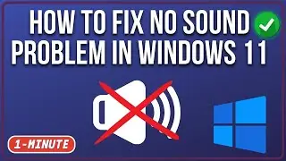 How to Fix No Sound Problem in Windows 11 |  No Sound in Windows 11