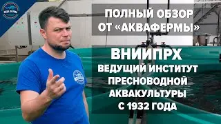 ВНИИПРХ - институт пресноводной аквакультуры. Полный обзор от «АкваФермы».