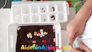 SENSORY BIN WITH BEANS