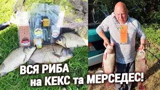 Рибалка на КАРАСЯ та ТОВСТОЛОБА у різних водоймах!