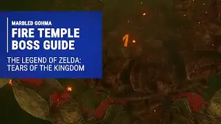 Marbled Gohma Boss Guide - Scourge Of The Fire Temple | The Legend Of Zelda: Tears Of The Kingdom