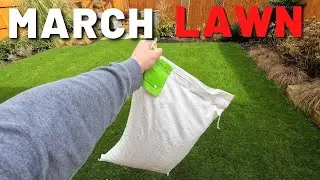 March Lawn Care Tips - Time for Grass Seed?