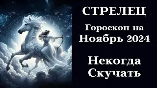 СТРЕЛЕЦ - Ноябрь 2024 - Некогда Скучать┃#гороскоп #стрелец #ноябрь #2024 #топ #удача #любовь #успех