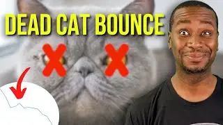 What is a Dead Cat Bounce in the Stock Market | How to Read Charts