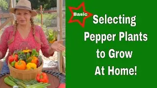 Types of PEPPER PLANTS to Grow at Home/🔥WHY is this PEPPER so HOT?  🔥Capsaicin (Foodie Gardener)