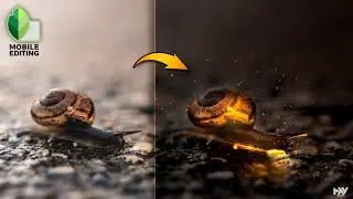 How to Create REALISTIC GLOW in SNAPSEED APP | Android | iPhone | SNAPSEED TUTORIAL