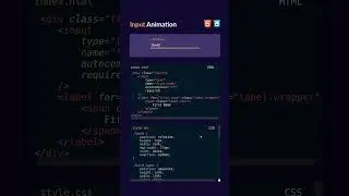 custom 😱 animation input type in HTML CSS 