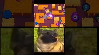 Brawl Stars Sprout 🦋