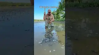 😳 Trouble on the Crawfish Farm