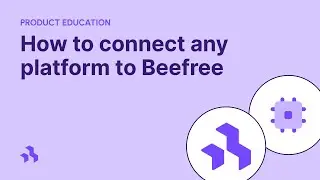 Connect any platform to Beefree using the Custom Connector