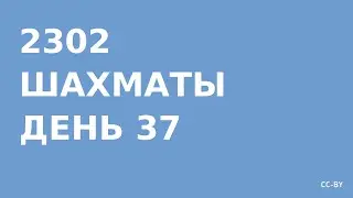 2302 - Шахматы - день 37