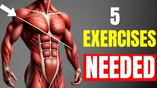 How to Get the Ideal V-SHAPED Body (5 Exercises Needed)