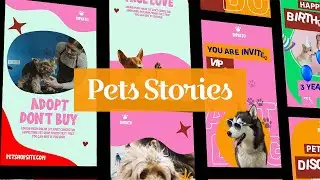 Pets Instagram Stories