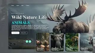 Create Wild Nature Animal Slider Crazy Effects Using HTML CSS And Javascript | Animal Slider Effect