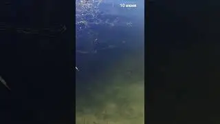 Открытие купального сезона 10 .06.2024