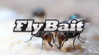 How to Use Gordon's® Fly Bait