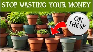 Stop wasting your money on plastic plant pots. Watch for my solution... and its cheaper too....