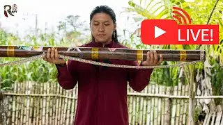 Live Flute Music from Nature