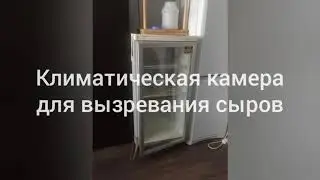 климатическая камера для сыров.