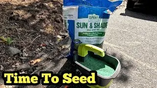 Using Walmart Cheapest Grass Seed To Grow A New Lawn