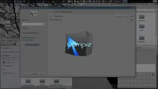 Compiz. Обзор плагинов. Вкладки 