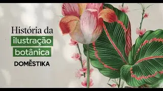 HISTÓRIA da ILUSTRAÇÃO BOTÂNICA: Quando começamos a Pintar Flores? | Domestika Português